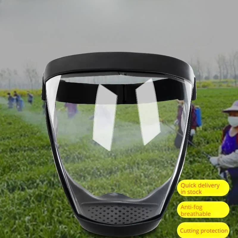 Transparenter Vollgesichtsschu – Anti Pollution Mask Bewertung und Preis
